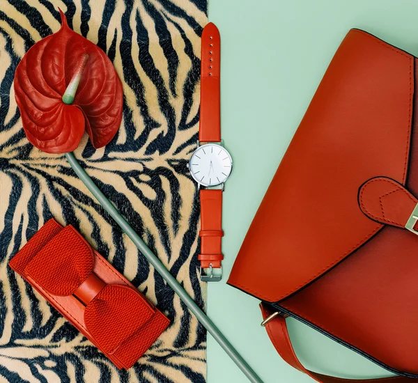 Concéntrate en rojo. Elegante Lady set accesorio. Detalles de moda . — Foto de Stock
