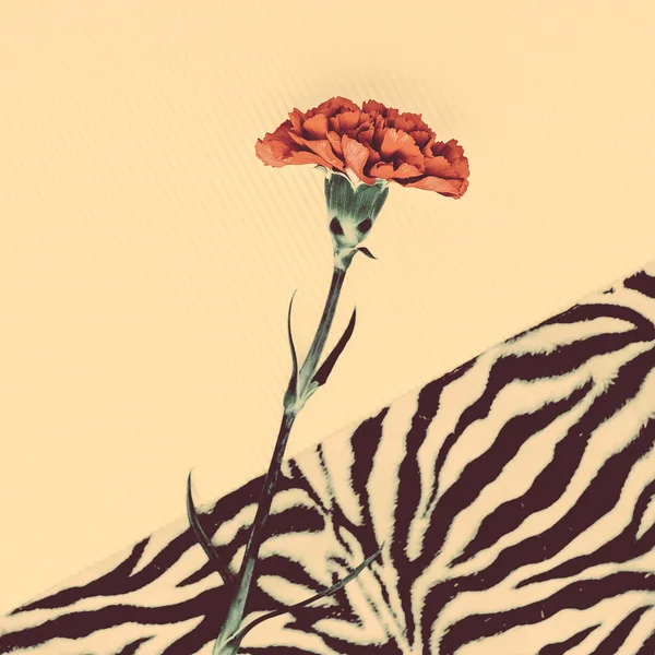 Carnation flower on the background animal print. Minimalism fash — Stock Photo, Image