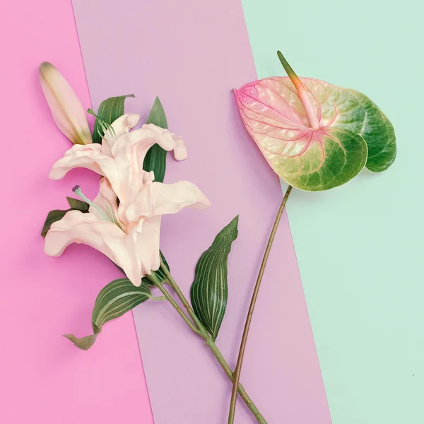 Minimalist fashion. Flowers. Lily and Calla. Pastel colors trend — Stock Photo, Image