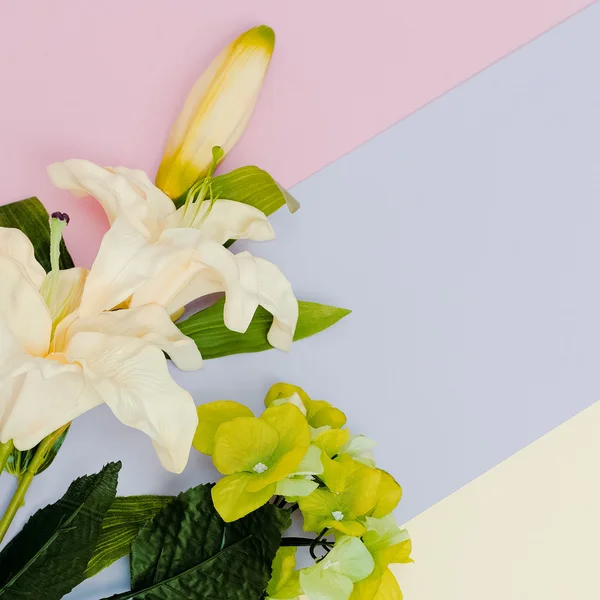 Módní mix květiny. Pastelové barvy trend. minimalismus — Stock fotografie