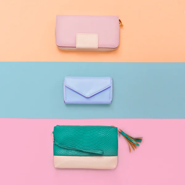 Ajuste Lady Clutch. Tendencia de color pastel —  Fotos de Stock