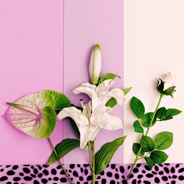 Mix květin. Pastelové barvy trend. Minimalismus umění. — Stock fotografie