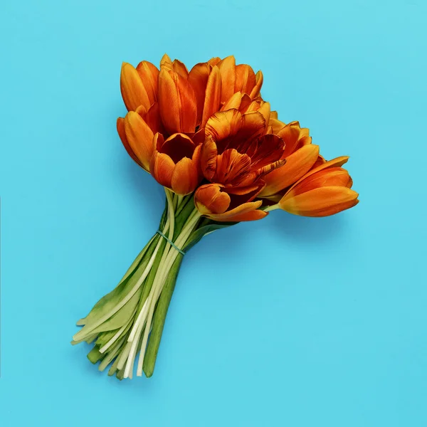 Buquê tulipas vermelhas no fundo azul. Arte minimalista . — Fotografia de Stock