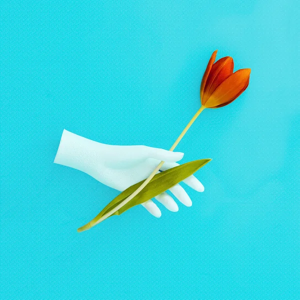 Skyltdocka hand innehav tulip. Minimalism konst. — Stockfoto