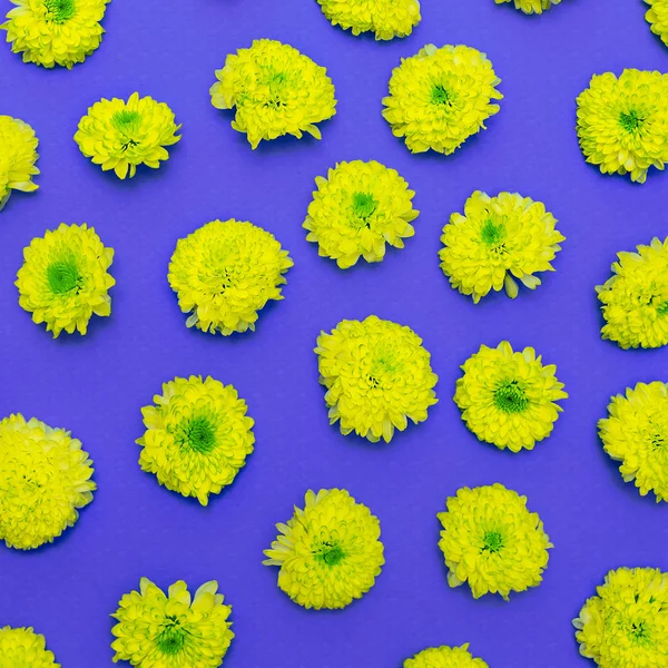 Background yellow flowers. Minimalism fashion details