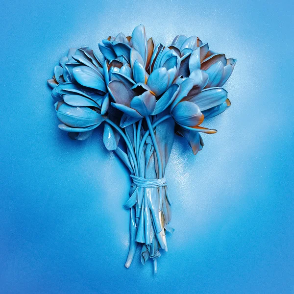 Festett tulipán. Kék festék. Divat design art. — Stock Fotó