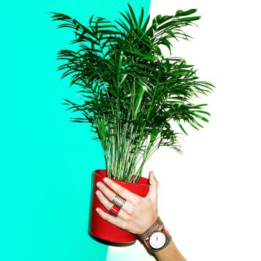 Kırmızı üzerinde odaklanın. Şık takı bayanlar.