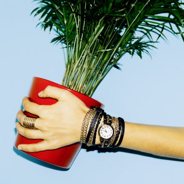 Aksesuarları üzerinde odaklanın. Şık takı Bayan.