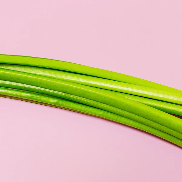 Tallo verde. Minimalismo arte de la moda —  Fotos de Stock