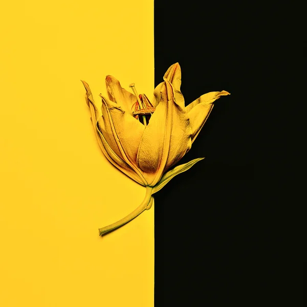 Yellow paint Lily. Minimalism fashion art