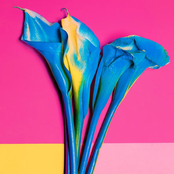 蓝色的油漆马蹄莲。极简主义艺术时尚 — 图库照片