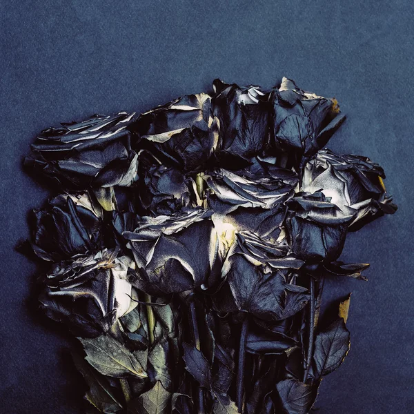 Minimalismo arte. Rosas negras quemadas. moda dramática — Foto de Stock