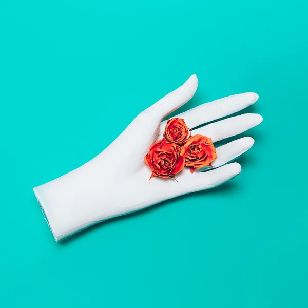 Hand and Roses. Minimalism Art. — Stock Photo, Image