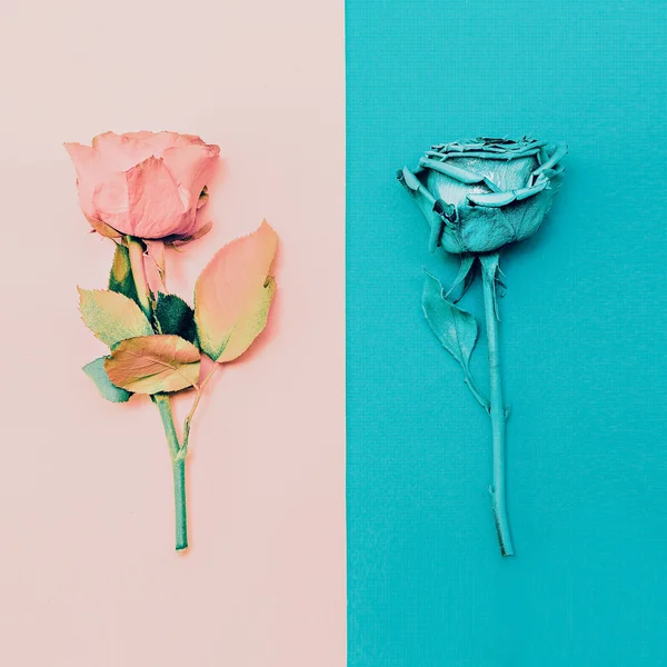 Painting Roses. Minimalism fashion art. — Stock Photo, Image