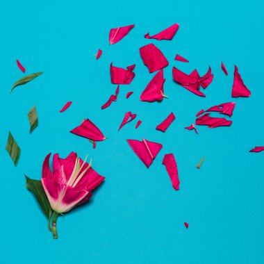 Lily kesti. Minimalizm moda