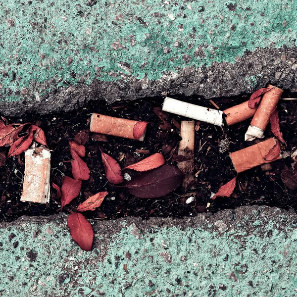 Deja de fumar. Colillas de cigarrillos en las calles — Foto de Stock