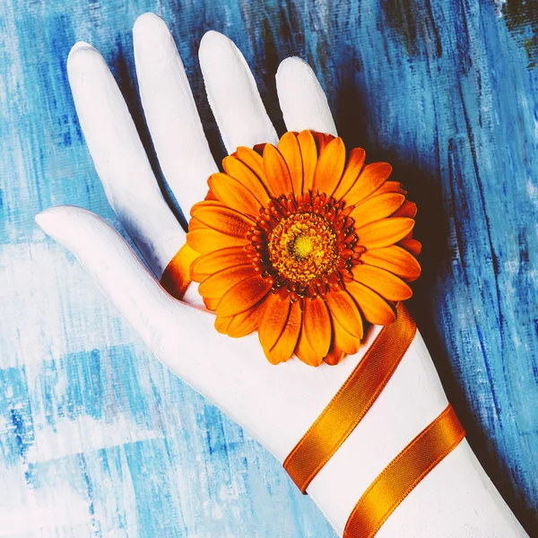 Projekt sztuka minimalizmu. Kwiat i gipsu ręka. — Zdjęcie stockowe