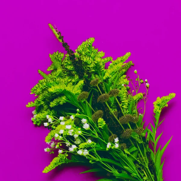 Different Fall. Green bouquet Herbarium. Minimal art fashion — Stock Photo, Image