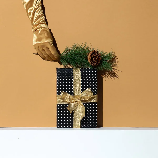 Hand Golden Gloves Holding Brunch Decor Gift Box Minimal Still — Stock Photo, Image