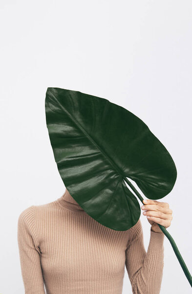 Model in studio. Casual look.  Palm leaf. . Fashion minimalist concept