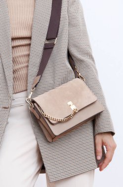 Şık bir Paris hanımı. Günlük bakışın ayrıntıları. Günlük bej renkli damalı ceket ve aksesuar kadife çanta. Moda Minimalist tarzı. Moda güz mevsimi ilkbaharı Bak kitabı.