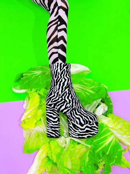 Jambes Mode Zèbre Imprimer Bottes Vêtements Avec Fond Vert Salade — Photo