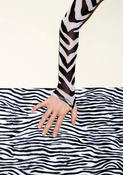 Moda Zebra Ręka Minimalnym Tle Tekstury Zwierzęcej Druku Stylowa Koncepcja — Zdjęcie stockowe