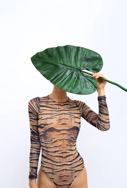 Mulher Irreconhecível Segurando Folha Palmeira Terno Tigre Tropical Selva Selvagem — Fotografia de Stock