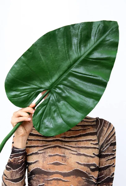 Modèle Méconnaissable Tenant Feuille Palme Dans Body Tigre Mode Jungle — Photo