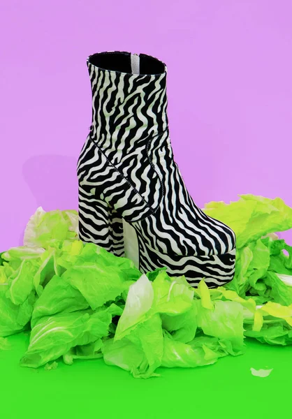 Botas Moda Zebra Imprimir Com Fundo Salada Verde Fresco Alimentos — Fotografia de Stock