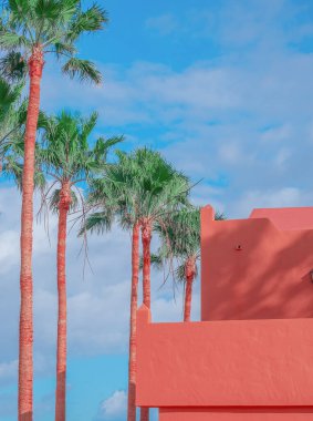 Moda tropikal konumu minimum. Pembe Otel ve Palm. Mavi yaz gökyüzü. Kanarya adaları. Seyahat reklam afişi duvar kağıdı