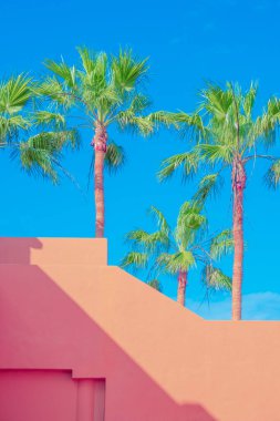 Moda tropikal konumu. Avuç içi ve gölgeler. Turuncu ev. Kanarya adaları. Seyahat reklam afişi duvar kağıdı