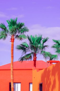 Moda tropikal konumu. Palmiye, Mavi yaz gökyüzü. Kanarya adaları. Seyahat reklam afişi duvar kağıdı