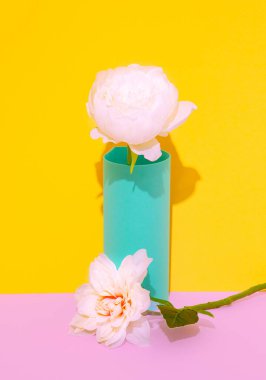 Decor white flowers in vase. Minimalist scene. Bloom, Spring,summer, greeting card, invitation concept.  Still life composition