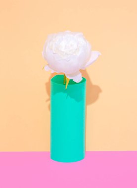 Decor white flowers in vase. Minimalist scene. Bloom, Spring,summer, greeting card, invitation concept.  Still life