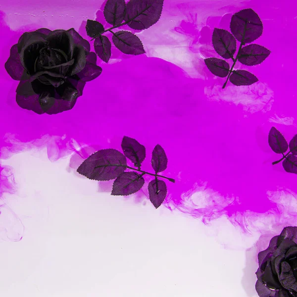 Модний Мінімальний Фон Чорні Троянди Рожева Фарба Анотація — стокове фото