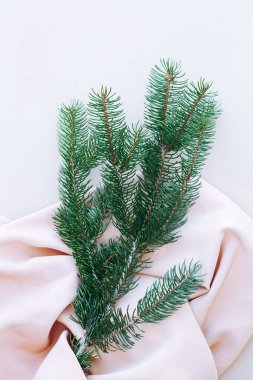 Pembe ipek kumaş arka planında çam dalı. Estetik asgari duvar kağıdı. Kış Sonbahar bitkisi bileşimi