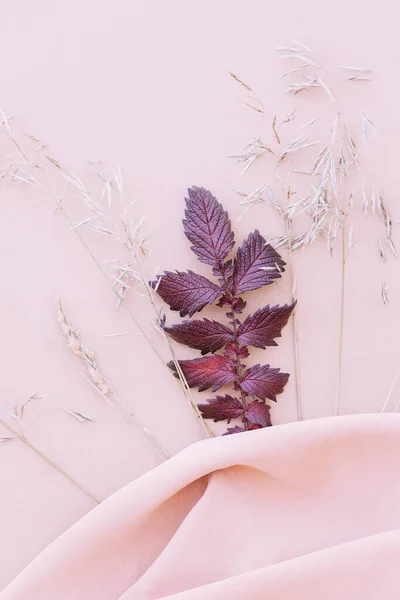 紫罗兰叶和黑麦丝面料背景 美感简约的墙纸 秋天植物的组成 — 图库照片
