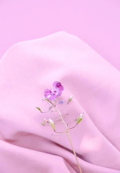 Purple Flower Pink Silk Fabric Background Aesthetic Minimal Wallpaper Summer — Stockfoto