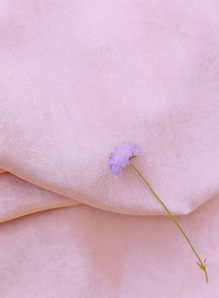 Cornflower Pink Fabric Silk Background Aesthetic Minimal Wallpaper Summer Spring — Stockfoto