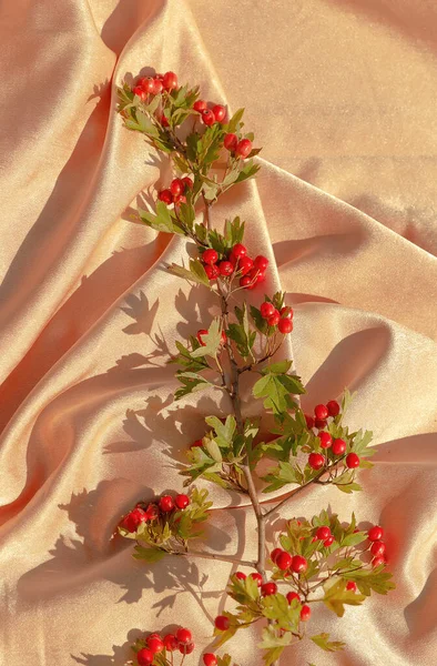 Hawthorn Branch Silk Fabric Background Summer Sunlight Shadows Aesthetic Minimal — Stockfoto