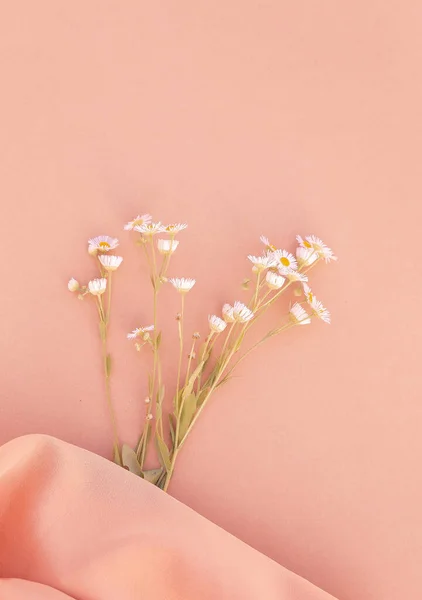 Chamomile Pink Fabric Background Aesthetic Minimal Wallpaper Stylish Summer Plant — Stockfoto