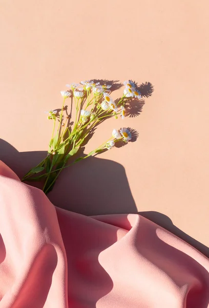 丝织物背景上的洋甘菊 夏日阳光的影子 美观的最小壁纸 木本植物成分 — 图库照片