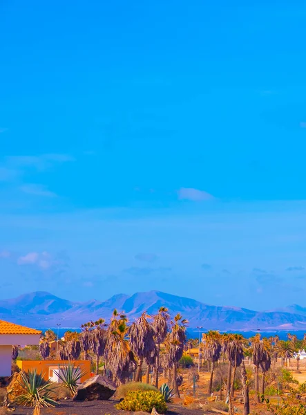 Ubicación Tropical Islas Canarias Elegante Viaje Fondo Pantalla Vacaciones — Foto de Stock