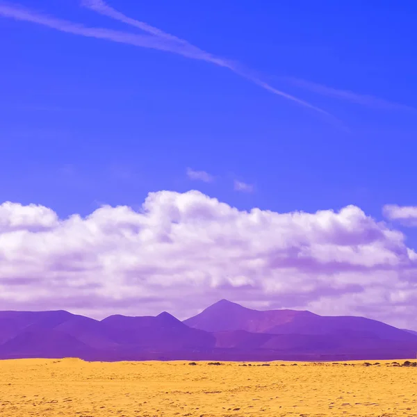 Stylish Fashion Landscape Travel Canary Island Desert View Minimalist Aesthetic — Stock Photo, Image