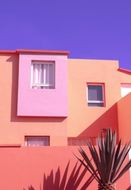 Moda tropikal konumu. Pembe duvar. Palmiye gölgeleri. Kanarya adaları. Seyahat reklamları şık duvar kağıtları