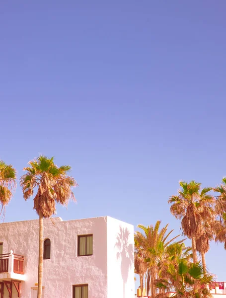 Fashion Canarian Minimal House Location Palm Tree Travel Aesthetic Stylish — Stock Photo, Image