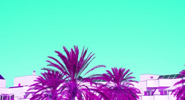 Canario Mínimo Surrealista Colores Ubicación Tropical Palmera Banner Con Estilo —  Fotos de Stock