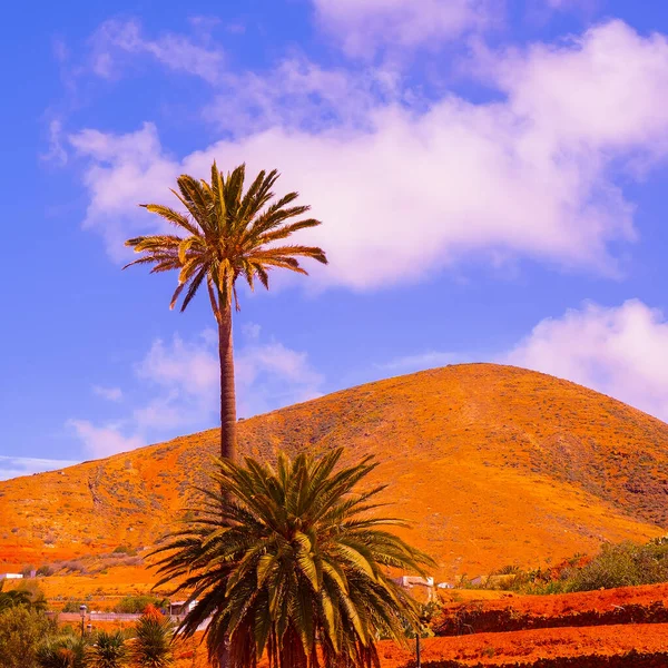 Bela Paisagem Vulcânica Localização Tropical Viajar Ilhas Canárias Fuerteventura — Fotografia de Stock