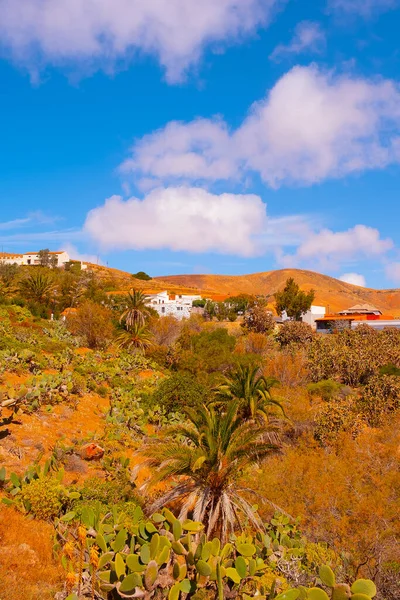 Canarische Eilanden Het Platteland Van Fuerteventura Reisvakantie Concept Stijlvol Behang — Stockfoto